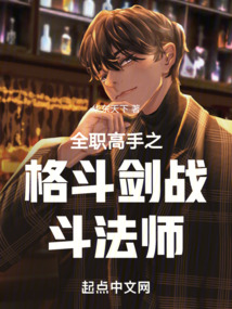 全职高手之格斗剑战斗法师