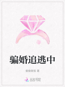 騙婚追逃中