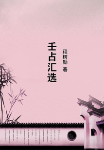 壬占匯選