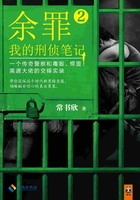 余罪2：我的刑侦笔记