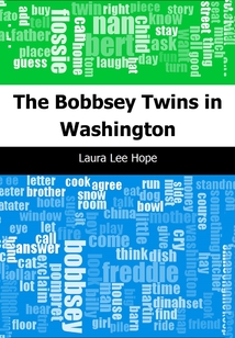 The Bobbsey Twins in Washington-波比雙胞胎在華盛頓