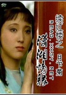 續(xù)紅樓之瀟湘情緣
