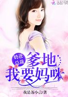 總裁的追妻日常在線閱讀