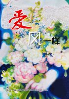 愛(ài)，風(fēng)一樣在線閱讀