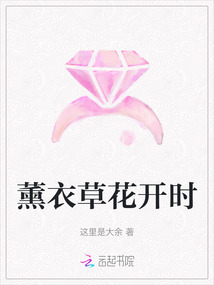 薰衣草花開時