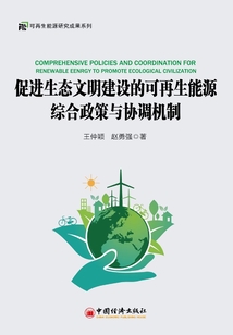促進生態文明建設的可再生能源綜合政策和協調機制