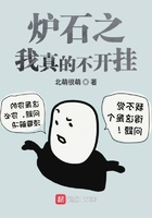 爐石之我真的不開(kāi)掛在線閱讀