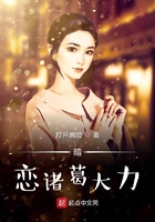 暗戀諸葛大力在線閱讀