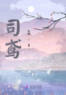 司鳶