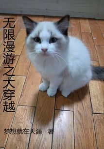 無限漫游之大穿越