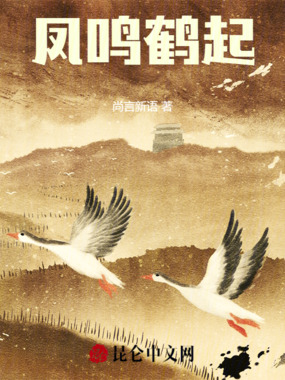 凤鸣鹤起!在线阅读