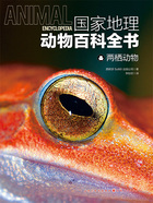 两栖动物(国家地理动物百科全书)在线阅读