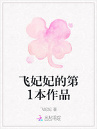 飞妃妃的第1本作品在线阅读