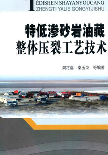 特低滲砂巖油藏整體壓裂工藝技術