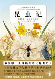 昆蟲記：昆蟲的幾何學（第8卷）
