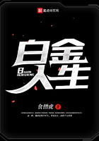 白金人生在線閱讀