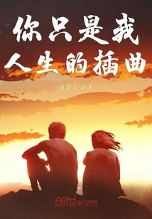 你只是我人生的插曲