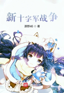 新十字軍戰爭