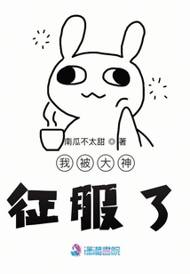 我被大神征服了