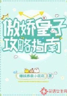 傲嬌皇子攻略指南