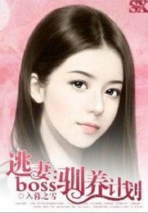 逃妻:boss馴養計劃