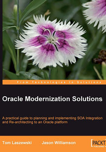 Oracle Modernization Solutions
