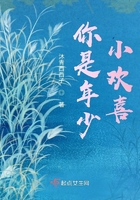 你是年少小欢喜