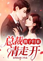 携子归来,总裁请走开在线阅读
