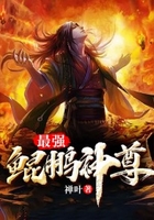 最强鲲鹏神尊