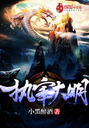 执宰大明在线阅读