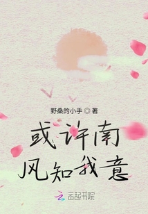 或許南風知我意