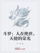 斗罗：人在绝世，天使的荣光在线阅读