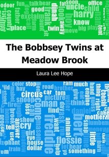 The Bobbsey Twins at Meadow Brook-波比雙胞胎在草地小溪