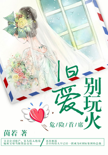 危險首席：舊愛別玩火