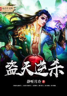 盗天逆杀