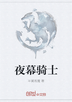 夜幕骑士在线阅读