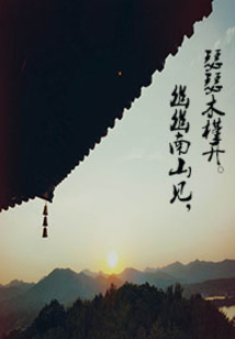 悠悠南山見(jiàn)之瑟瑟木槿開(kāi)