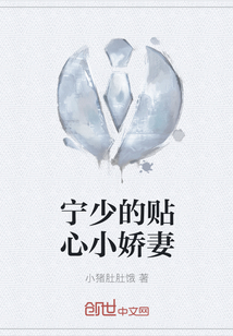 寧少的貼心小嬌妻