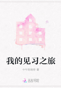 我的見習之旅