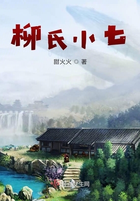 柳氏小七在线阅读