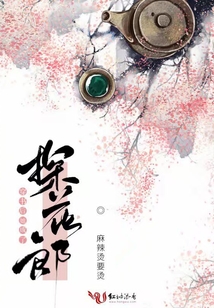 穿書后她成了探花郎