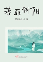 芳菲斜陽在線閱讀