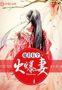 魔君有個火爆妻