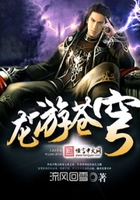 龙游苍穹在线阅读