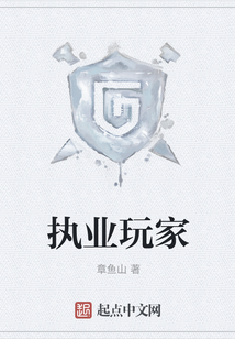 执业玩家