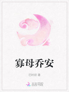 寡母乔安在线阅读