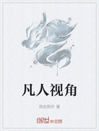 凡人视角在线阅读