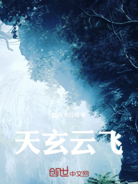 天玄云飞在线阅读