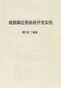 數(shù)據(jù)庫應(yīng)用系統(tǒng)開發(fā)實例