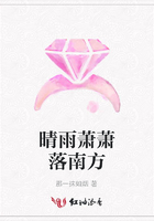 晴雨蕭蕭落南方在線閱讀
